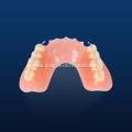 Hot Sale Lucitone 199 Full Denture
